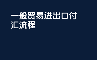 一般贸易进出口付汇流程
