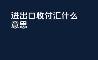 进出口收付汇什么意思