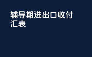 辅导期进出口收付汇表