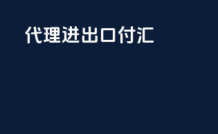 代理进出口付汇