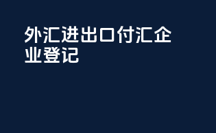 外汇进出口付汇企业登记
