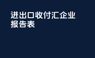 进出口收付汇企业报告表