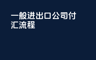 一般进出口公司付汇流程