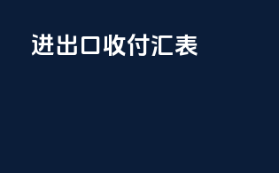 进出口收付汇表