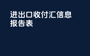 进出口首付汇信息报告表