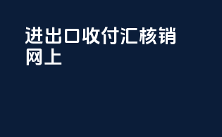 进出口收付汇核销网上