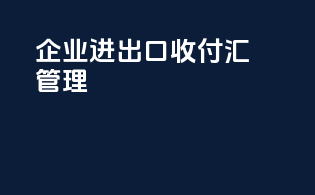 企业进出口收付汇管理