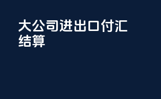 大公司进出口付汇结算