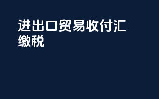进出口贸易收付汇缴税