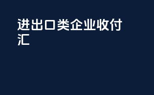 进出口B类企业收付汇