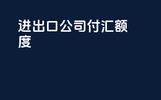 进出口公司付汇额度