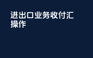 进出口业务收付汇操作