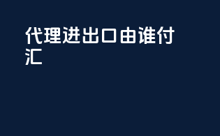 代理进出口由谁付汇