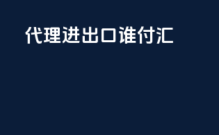 代理进出口收付汇