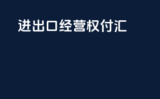 进出口经营权 付汇
