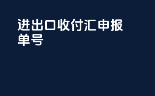 进出口收付汇申报单号