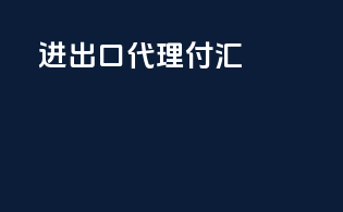 进出口代理付汇