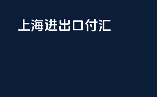 上海进出口付汇