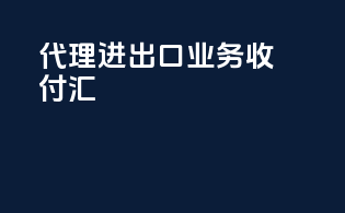 代理进出口业务收付汇