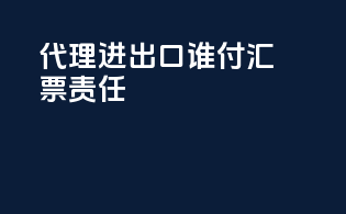 代理进出口谁付汇票责任
