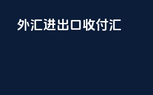 外汇进出口收付汇