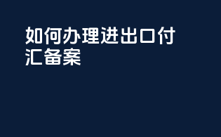 如何办理进出口付汇备案