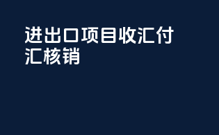 进出口项目收汇付汇核销