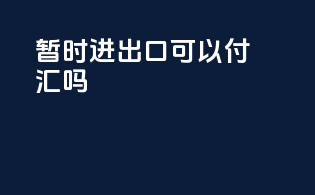 暂时进出口可以付汇吗