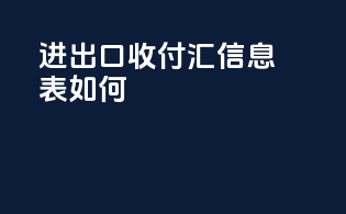进出口收付汇信息表如何