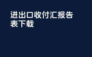 进出口收付汇报告表下载