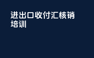 进出口收付汇核销培训