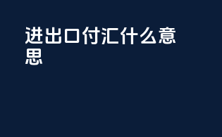 进出口付汇什么意思