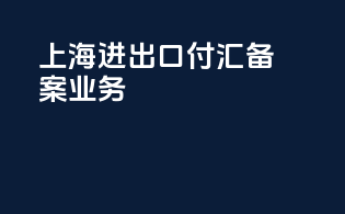上海进出口付汇备案业务
