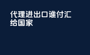 代理进出口谁付汇给国家