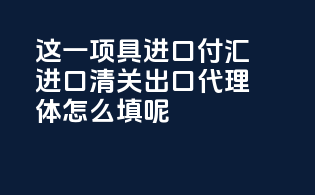 payment 这一项具进口付汇,进口清关,出口代理体怎么填呢