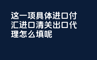 payment 这一项具体进口付汇,进口清关,出口代理怎么填呢