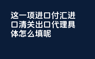 payment 这一项进口付汇,进口清关,出口代理具体怎么填呢