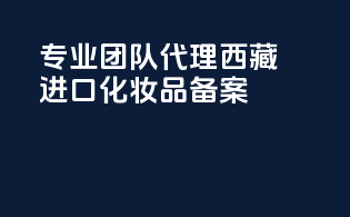 专业团队代理西藏进口化妆品备案