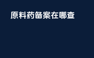 原料药备案在哪查