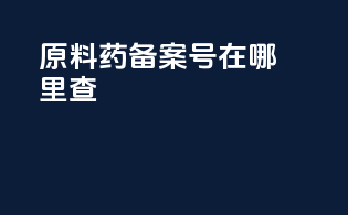 原料药备案号在哪里查