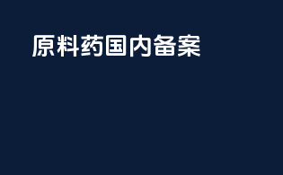 原料药国内备案