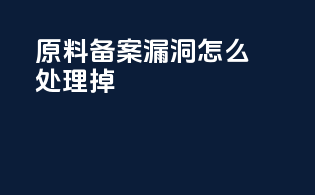 原料备案漏洞怎么处理的