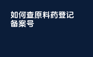 如何查原料药登记备案号