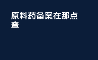 原料药备案在那点查