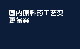 国内原料药工艺变更备案