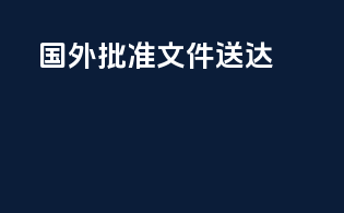 国外批准文件送达