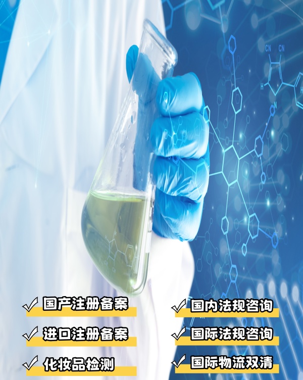 临时进出口代理服务流程
