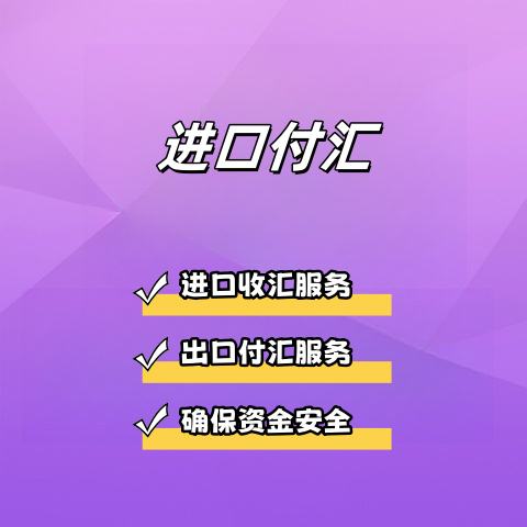 进口付汇